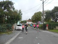 Edition  2014 (15)