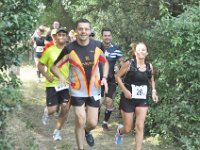 Edition 2018 (243)