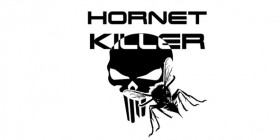 hornet