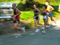 Parcs 2005 (179) (Medium)