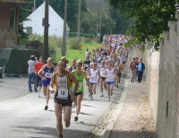 1796654_10202074548917628_59903473_n